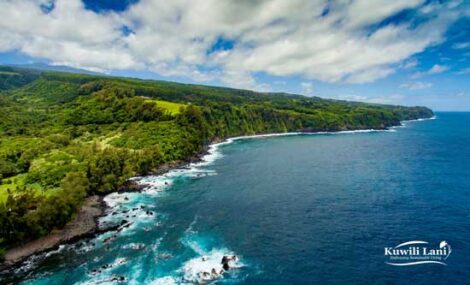 Living Sustainably on Hawai’i Island Image